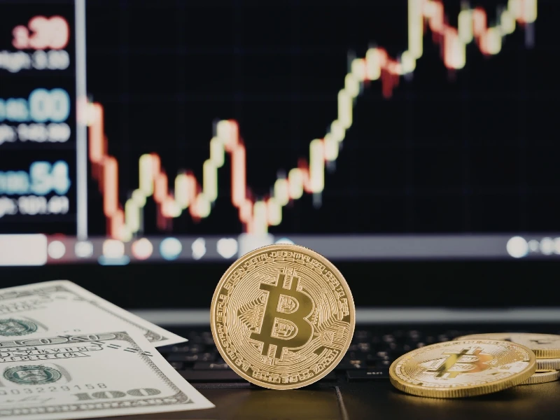 Thị trường Crypto đang ở giai đoạn nào của chu kỳ?